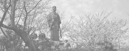 Shinsaku takasugi standing among cherry trees